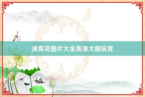 凌霄花图片大全高清大图玩赏