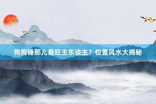 狗狗睡那儿最旺主东谈主？位置风水大揭秘