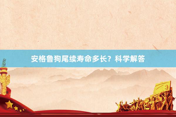 安格鲁狗尾续寿命多长?科学解答