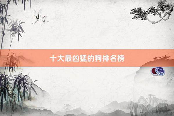 十大最凶猛的狗排名榜