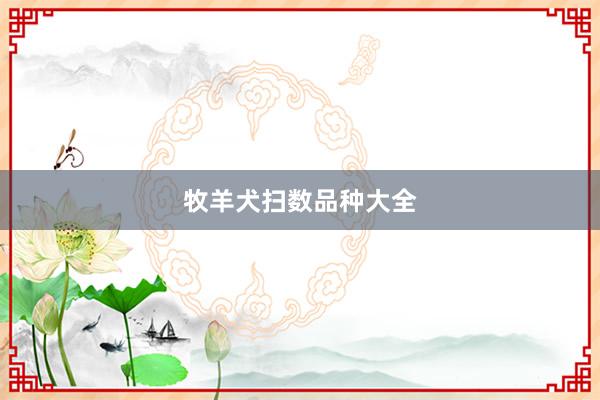 牧羊犬扫数品种大全
